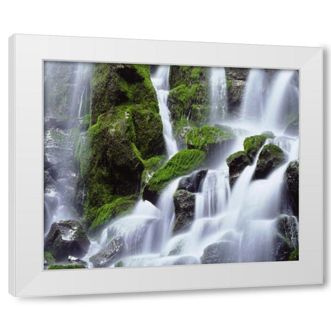 USA, Oregon, Mount Hood, Ramona Falls White Modern Wood Framed Art Print by Talbot Frank, Christopher