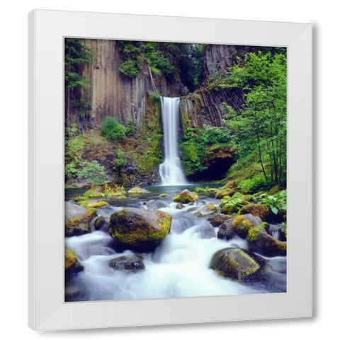 Oregon, Toketee Waterfall and Basalt Formation White Modern Wood Framed Art Print by Talbot Frank, Christopher