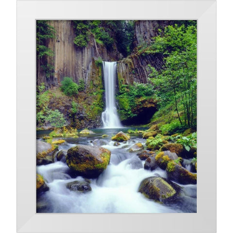 Oregon, Toketee Waterfall and Basalt Formation White Modern Wood Framed Art Print by Talbot Frank, Christopher