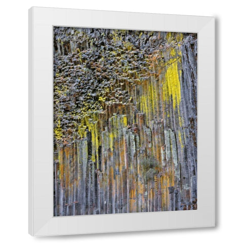 OR, Columnar basalt covered with lichen White Modern Wood Framed Art Print by Terrill, Steve
