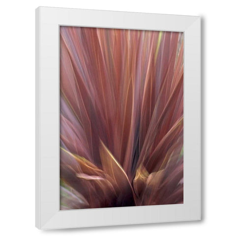 USA, Oregon, Portland Abstract of red flax plant White Modern Wood Framed Art Print by Terrill, Steve