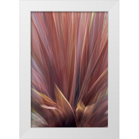 USA, Oregon, Portland Abstract of red flax plant White Modern Wood Framed Art Print by Terrill, Steve
