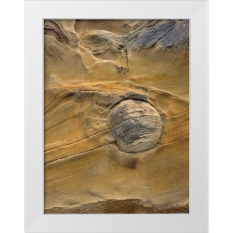 OR, Shore Acres SP Round rock in sandstone White Modern Wood Framed Art Print by Terrill, Steve