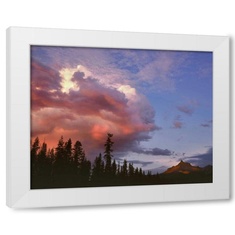 Oregon, Umpqua NF Storm approaching Mt Thielsen White Modern Wood Framed Art Print by Terrill, Steve