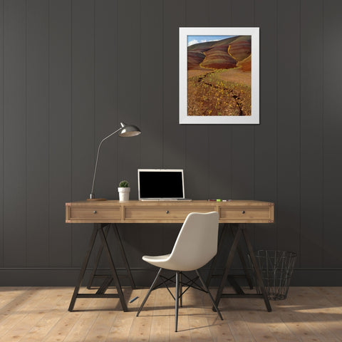 OR, Painted Hills, Yellow bee plants White Modern Wood Framed Art Print by Terrill, Steve