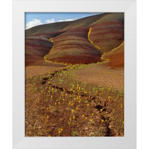 OR, Painted Hills, Yellow bee plants White Modern Wood Framed Art Print by Terrill, Steve