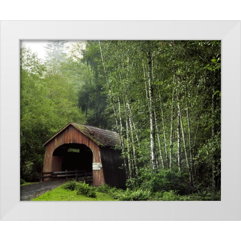 OR, Yachats River, Covered bridge over North Fork White Modern Wood Framed Art Print by Terrill, Steve