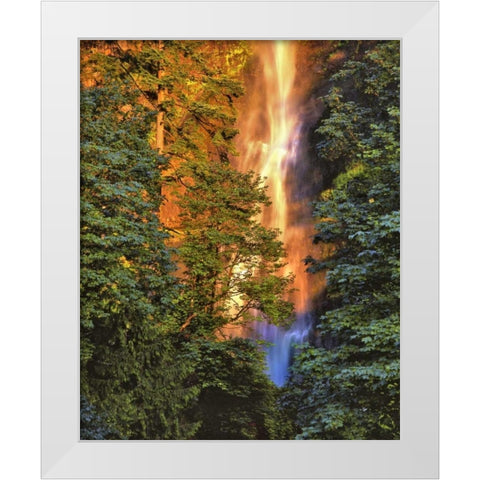 OR, Columbia Gorge Sunset on Multnomah Falls White Modern Wood Framed Art Print by Terrill, Steve