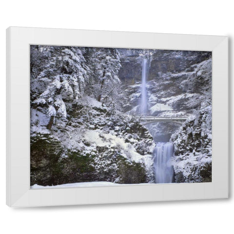OR, Columbia Gorge Winter at Multnomah Falls White Modern Wood Framed Art Print by Terrill, Steve
