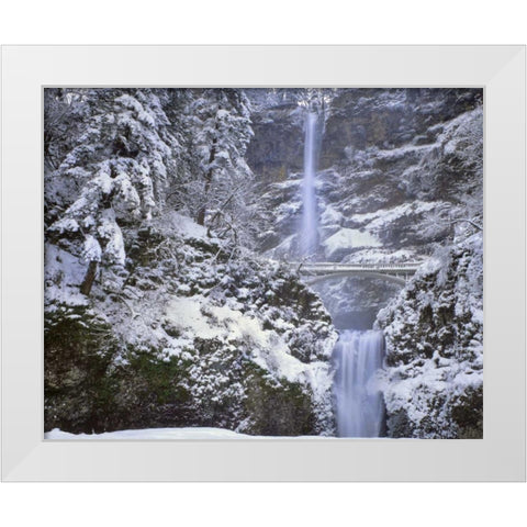 OR, Columbia Gorge Winter at Multnomah Falls White Modern Wood Framed Art Print by Terrill, Steve