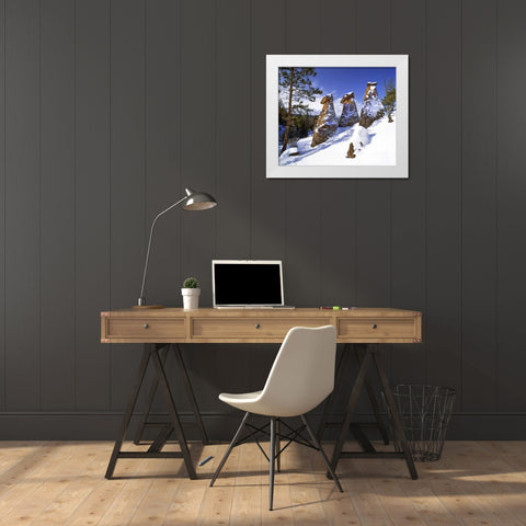 OR, Jefferson Co, The Balancing Rocks in winter White Modern Wood Framed Art Print by Terrill, Steve