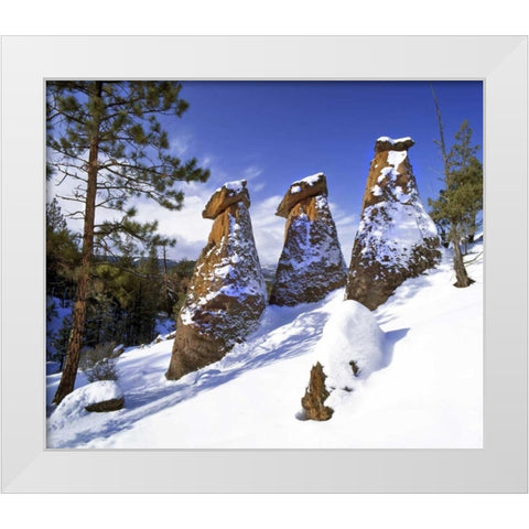 OR, Jefferson Co, The Balancing Rocks in winter White Modern Wood Framed Art Print by Terrill, Steve