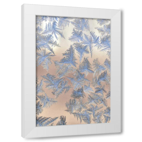 Oregon, Portland Ice crystals on window pane White Modern Wood Framed Art Print by Terrill, Steve