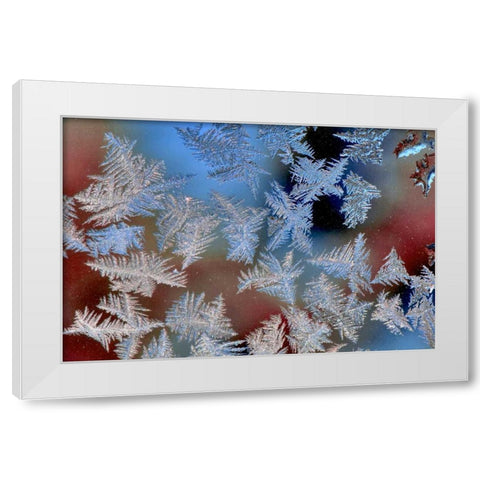 Oregon, Portland Ice crystals on window pane White Modern Wood Framed Art Print by Terrill, Steve