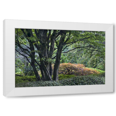 Oregon, Portland, Green lush garden scenic White Modern Wood Framed Art Print by Bush, Marie