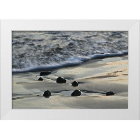 USA, Oregon Beach scenic White Modern Wood Framed Art Print by Rotenberg, Nancy