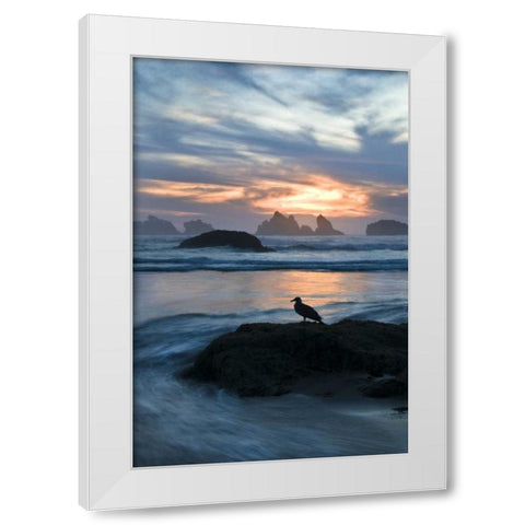 Oregon, Bandon Beach Seagull on rock at twilight White Modern Wood Framed Art Print by Rotenberg, Nancy