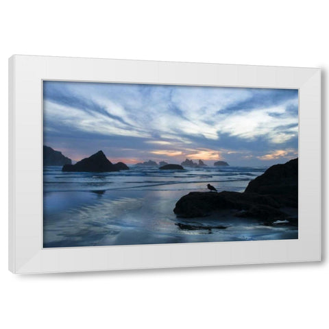 Oregon, Bandon Beach Seagull on rock at twilight White Modern Wood Framed Art Print by Rotenberg, Nancy