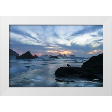Oregon, Bandon Beach Seagull on rock at twilight White Modern Wood Framed Art Print by Rotenberg, Nancy