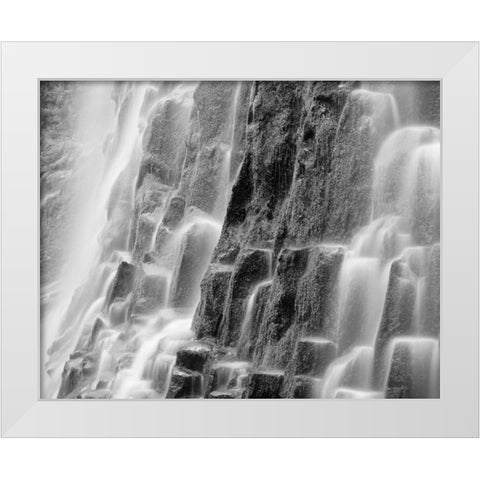 Oregon, Three Sisters Wilderness Proxy Falls White Modern Wood Framed Art Print by Flaherty, Dennis