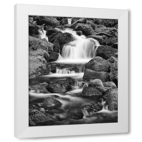 OR, Three Sisters Wilderness Area Proxy Falls White Modern Wood Framed Art Print by Flaherty, Dennis