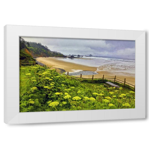 OR, Ecola SP Cow parsnip near Indian Beach White Modern Wood Framed Art Print by Carter, Jean
