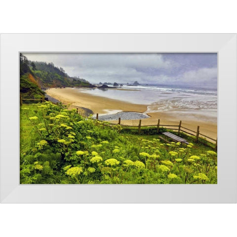 OR, Ecola SP Cow parsnip near Indian Beach White Modern Wood Framed Art Print by Carter, Jean