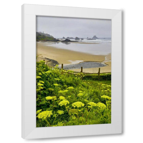 OR, Ecola SP Cow parsnip near Indian Beach White Modern Wood Framed Art Print by Carter, Jean