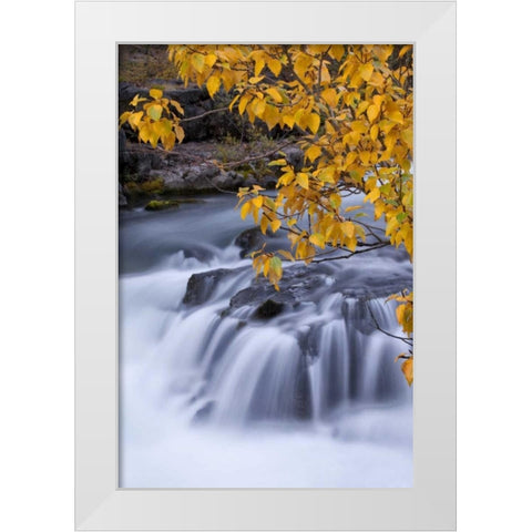 USA, Oregon Rogue River waterfalls in autumn White Modern Wood Framed Art Print by Carter, Jean
