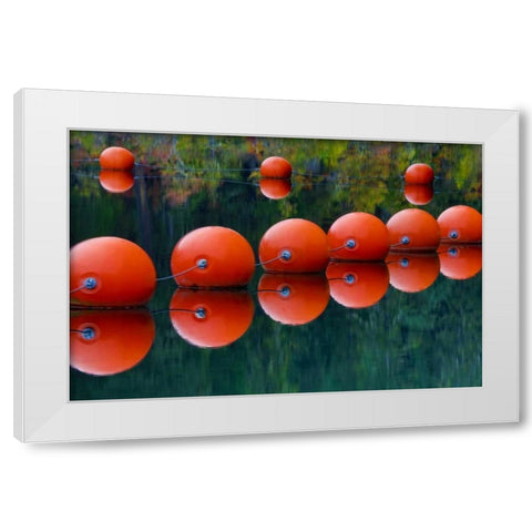 USA, Oregon Orange buoys form dam on Rogue River White Modern Wood Framed Art Print by Carter, Jean
