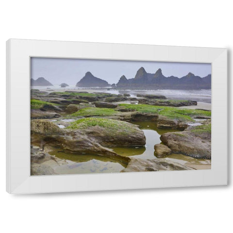 Oregon, Seal Rock SP Rocky beach at low tide White Modern Wood Framed Art Print by Carter, Jean