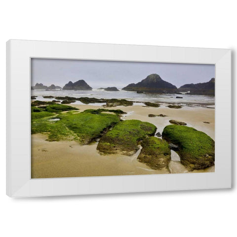 Oregon, Seal Rock SP Rocky beach at low tide White Modern Wood Framed Art Print by Carter, Jean
