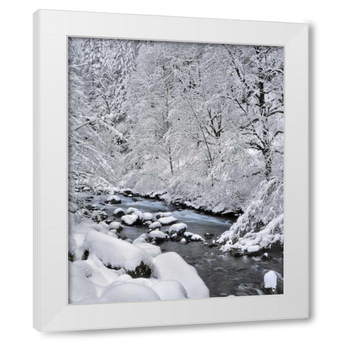 Oregon, Mt Hood NF Snow on Boulder Creek White Modern Wood Framed Art Print by Terrill, Steve