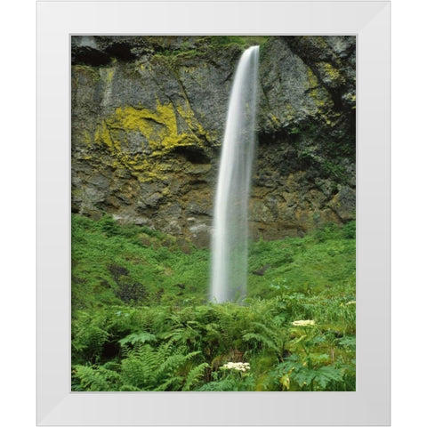 OR, Columbia River Gorge NSA Elowah Falls scenic White Modern Wood Framed Art Print by Terrill, Steve