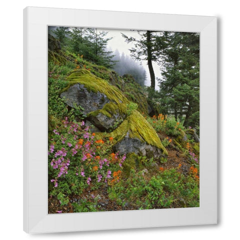 Oregon, Mt Hood NF Trees and flowers White Modern Wood Framed Art Print by Terrill, Steve