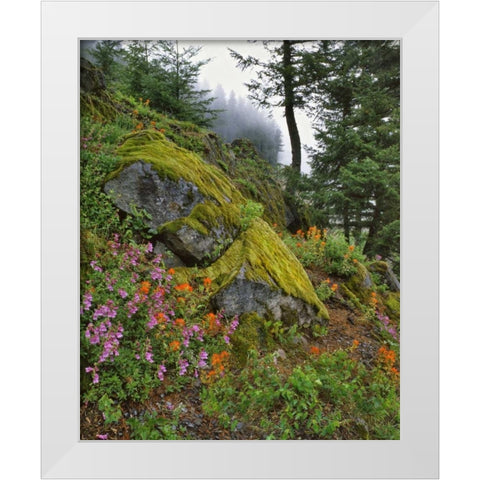 Oregon, Mt Hood NF Trees and flowers White Modern Wood Framed Art Print by Terrill, Steve