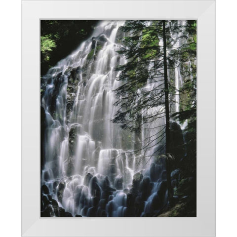 Oregon, Mt Hood Wilderness Ramona Falls White Modern Wood Framed Art Print by Terrill, Steve