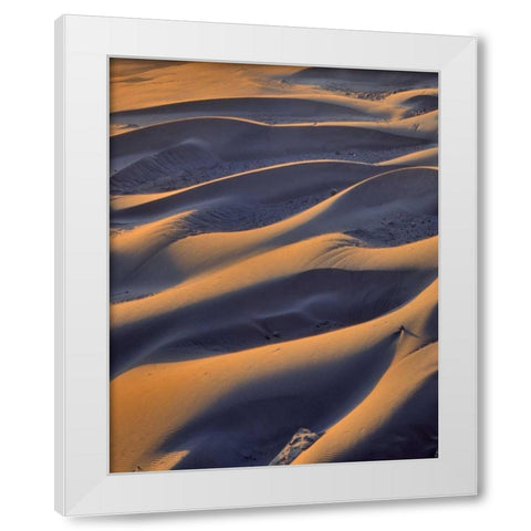 Oregon, Cape Sebastian Close-up of sand dunes White Modern Wood Framed Art Print by Terrill, Steve