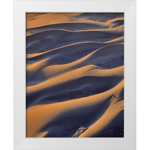 Oregon, Cape Sebastian Close-up of sand dunes White Modern Wood Framed Art Print by Terrill, Steve