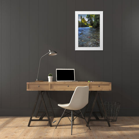 Oregon, Mt Hood NF Sandy River landscape White Modern Wood Framed Art Print by Terrill, Steve