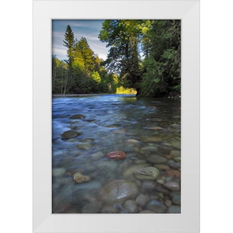 Oregon, Mt Hood NF Sandy River landscape White Modern Wood Framed Art Print by Terrill, Steve