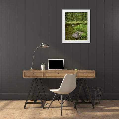 Oregon, Mt Hood NF Reflections in Surprise Lake White Modern Wood Framed Art Print by Terrill, Steve