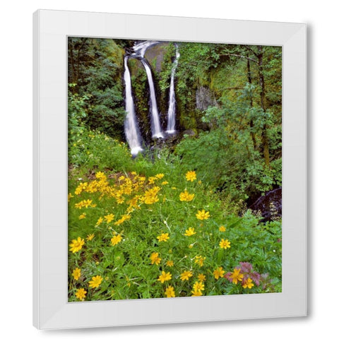 Oregon, Columbia River Gorge NSA Triple Falls White Modern Wood Framed Art Print by Terrill, Steve