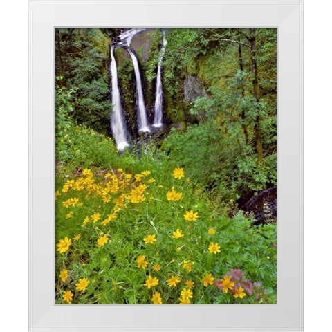 Oregon, Columbia River Gorge NSA Triple Falls White Modern Wood Framed Art Print by Terrill, Steve