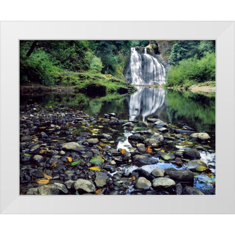 Oregon, Youngs River Falls Waterfall landscape White Modern Wood Framed Art Print by Terrill, Steve