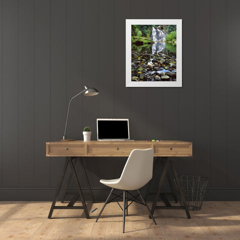 Oregon, Youngs River Falls Waterfall landscape White Modern Wood Framed Art Print by Terrill, Steve