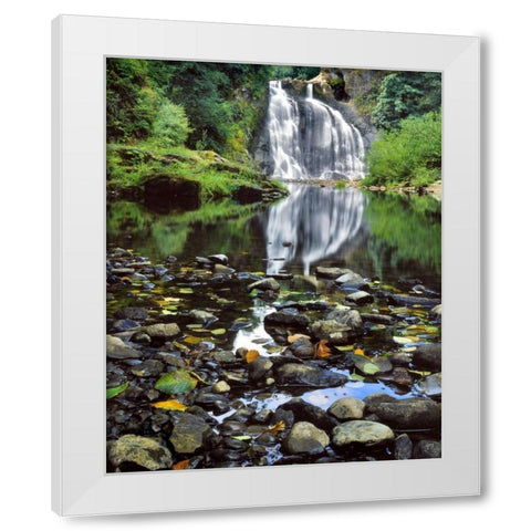 Oregon, Youngs River Falls Waterfall landscape White Modern Wood Framed Art Print by Terrill, Steve