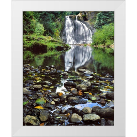 Oregon, Youngs River Falls Waterfall landscape White Modern Wood Framed Art Print by Terrill, Steve