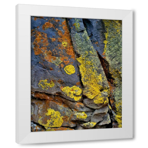 Oregon, Deschutes NF Lichen, covered basalt rock White Modern Wood Framed Art Print by Terrill, Steve