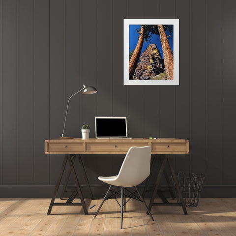 OR, Gearhart Mountain Trees frame rock formation White Modern Wood Framed Art Print by Terrill, Steve